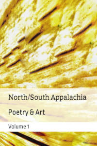North/South Appalachia Anthology Volume 1 cover
